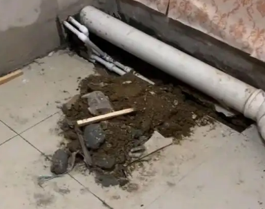 顺河卫生间漏水检测哪家好