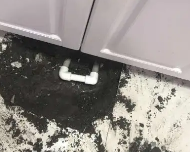 顺河查漏水哪家好